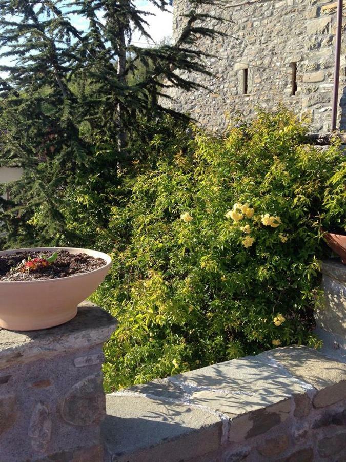 Mini Appartamenti Nonna Nella Barbarasco Экстерьер фото